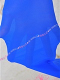 Wonderful series toe thickening pantyhose (blue) silent silk language silk stockings beauty picture(4)
